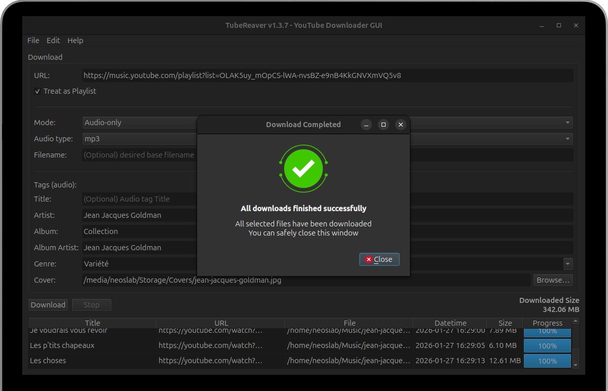 TubeReaver GUI Interface showing download options and metadata tagging