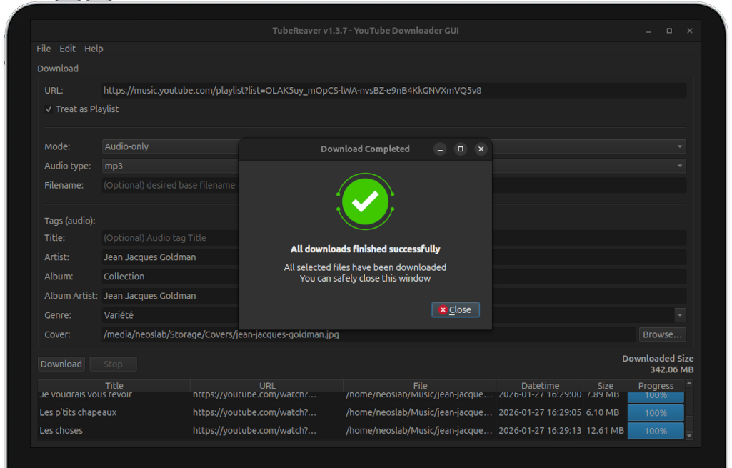 TubeReaver GUI Interface showing download options and metadata tagging